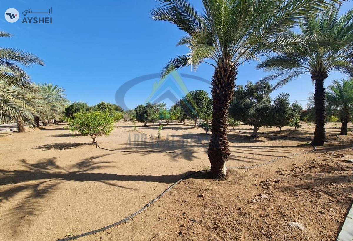 FARM FOR SALE IN AL KHATIM-3-3