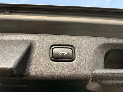 Hyundai Palisade PREMIUM NAPPA Limited 3.8 L panoramic, 360 cameras full option-24