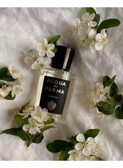 Acqua Di Parma Signature Sakura EDP 100ml-4