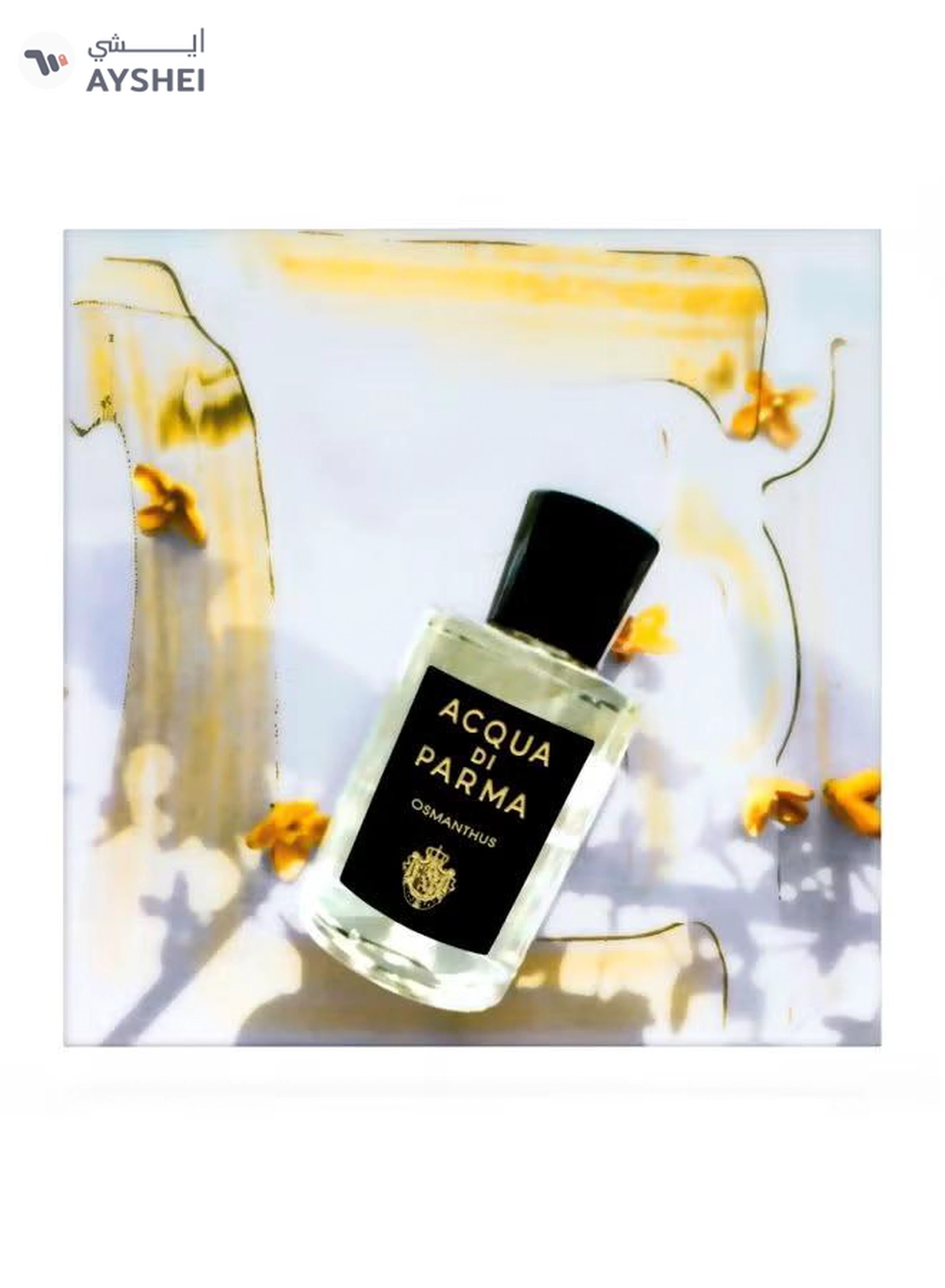 Acqua Di Parma Signature Sakura EDP 100ml-6-6