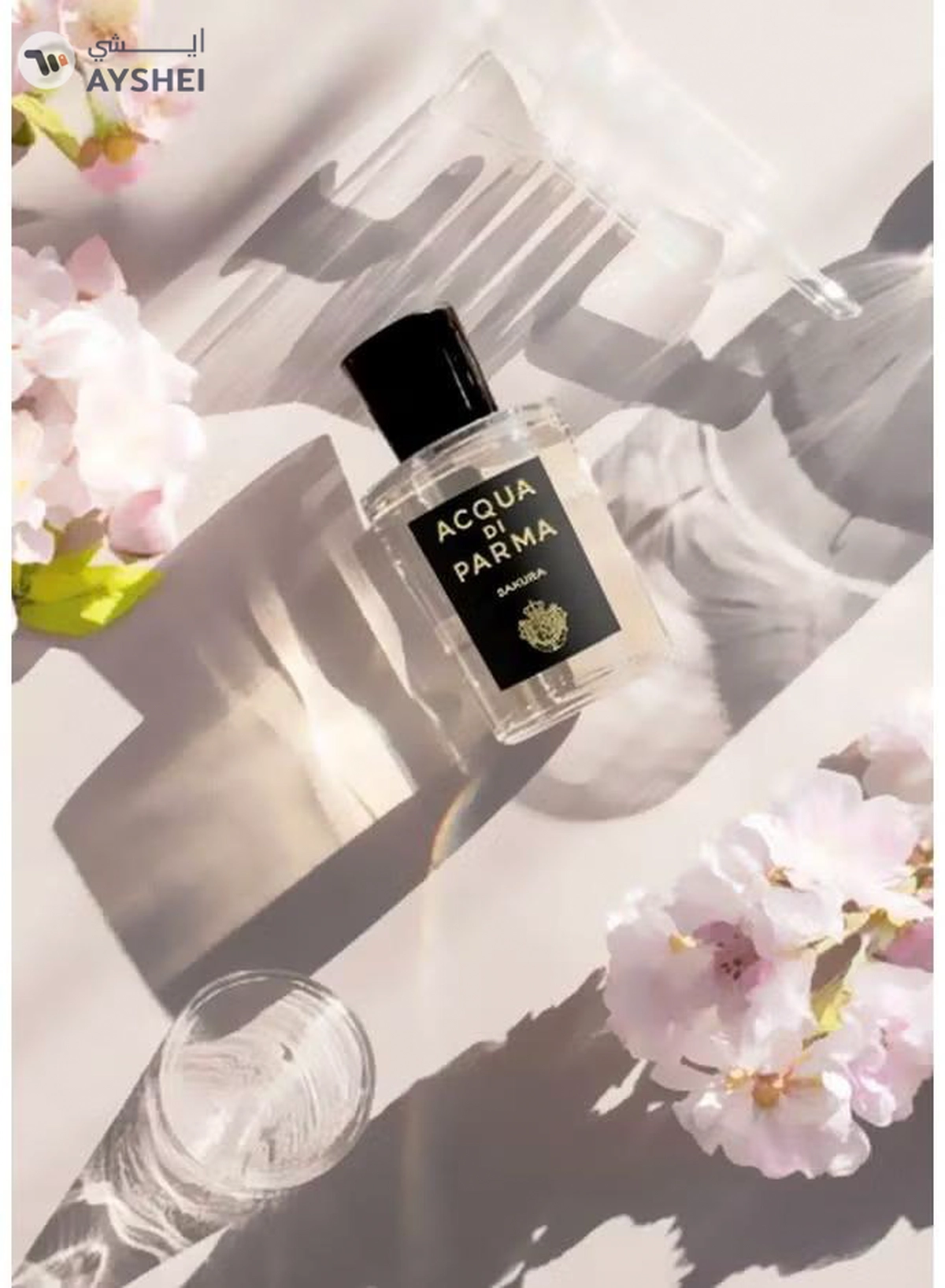 Acqua Di Parma Signature Sakura EDP 100ml-7-7