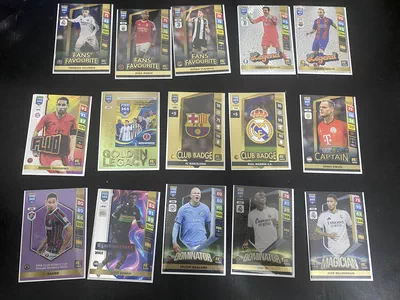 Panini Trading Cards-3