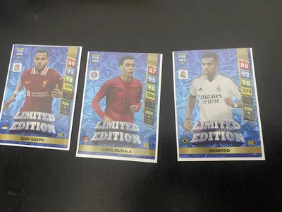 Panini Trading Cards-0