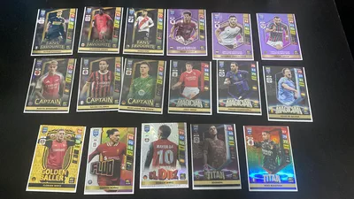 Panini Trading Cards-2