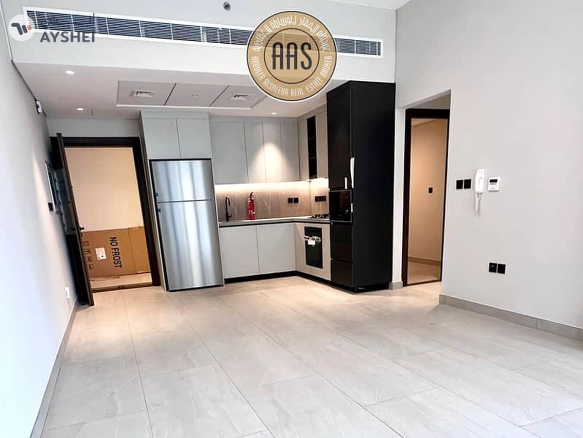 Spacious luxury new lavish 2bhk 🔥laundry room and kitchen appliances only in 130k arjan-3-3
