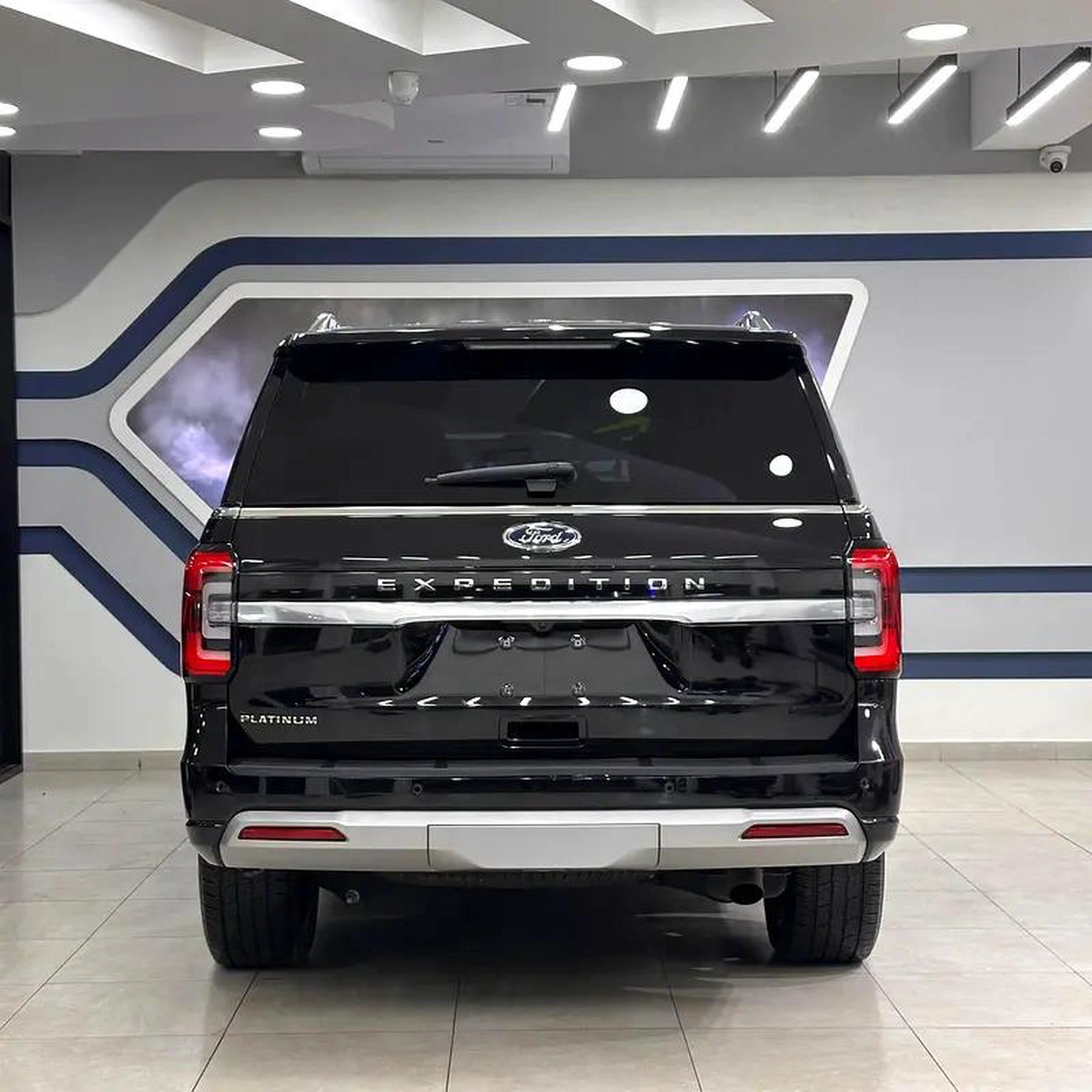 Ford Expedition Platinum-10-10