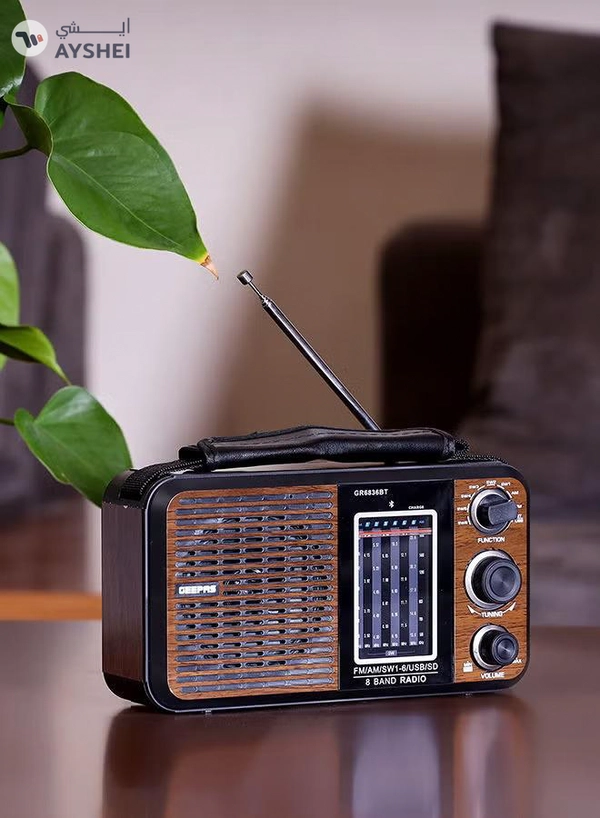 GEEPAS Rechargeable FM Radio, Large Capacity Battery, Perfectly Portable, Lightweight, Retro Style FM Radio, Strong And Stylish, Perfect Sound Quality, Multi Band GR6836BT Brown/Black