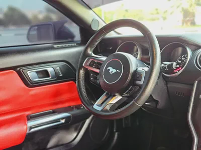Ford Mustang Ecoboost 2019 | Low Mileage | Excellent Condition US Specs Pefect Inside Out-11