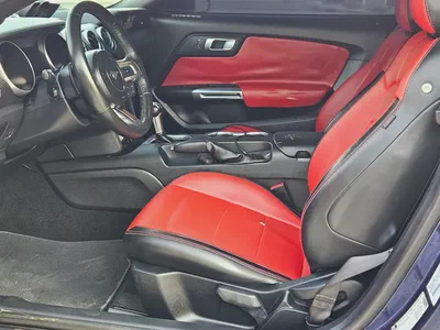 Ford Mustang Ecoboost 2019 | Low Mileage | Excellent Condition US Specs Pefect Inside Out-13