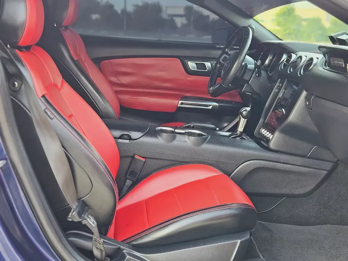 Ford Mustang Ecoboost 2019 | Low Mileage | Excellent Condition US Specs Pefect Inside Out-10-10
