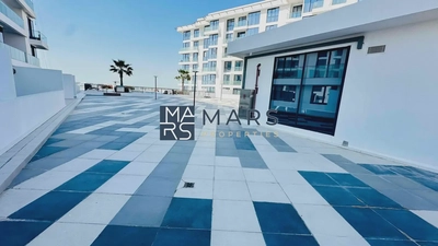 Amazing Layout | Huge Terrace | Brand New | Lagoon View-5