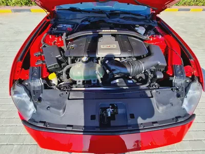 Ford mustang GT 2022 V8 5.0 full option-14