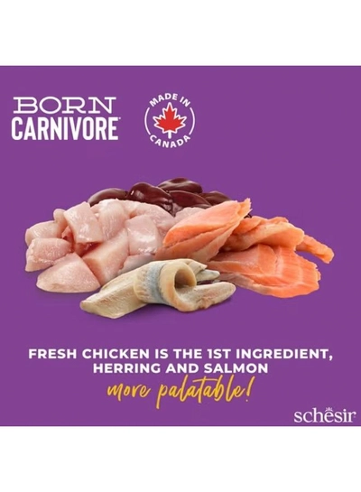 Schesir Born Carnivore Grain Free Oven Baked Dry Food [High-Protein] For Cat-2