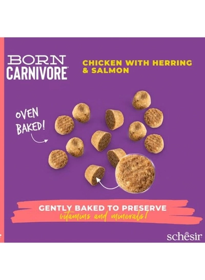 Schesir Born Carnivore Grain Free Oven Baked Dry Food [High-Protein] For Cat-3