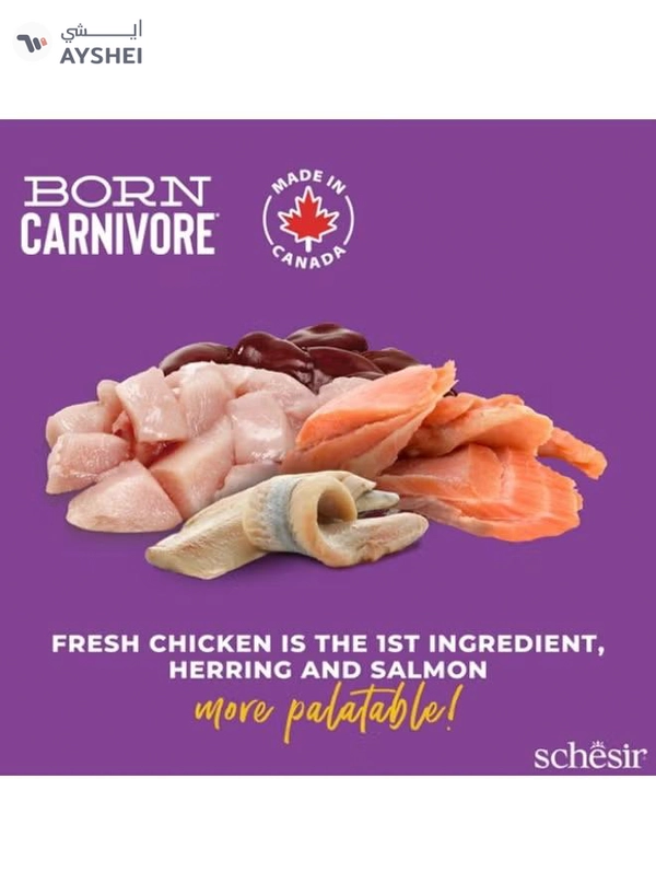 Schesir Born Carnivore Grain Free Oven Baked Dry Food [High-Protein] For Cat