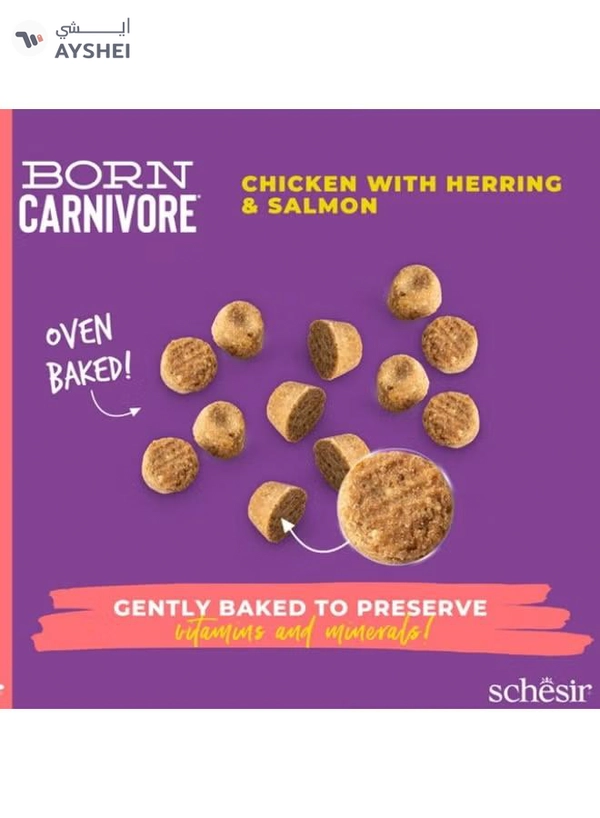 Schesir Born Carnivore Grain Free Oven Baked Dry Food [High-Protein] For Cat