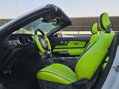 2021 Ford Mustang Ecoboost - American Specs - Pristine Condition-9