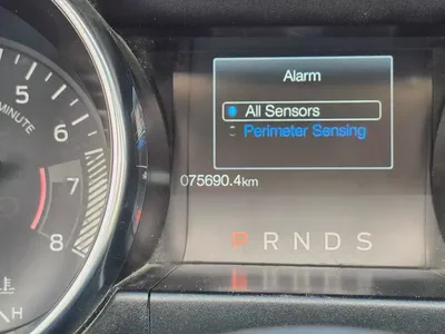 2021 Ford Mustang Ecoboost - American Specs - Pristine Condition-11