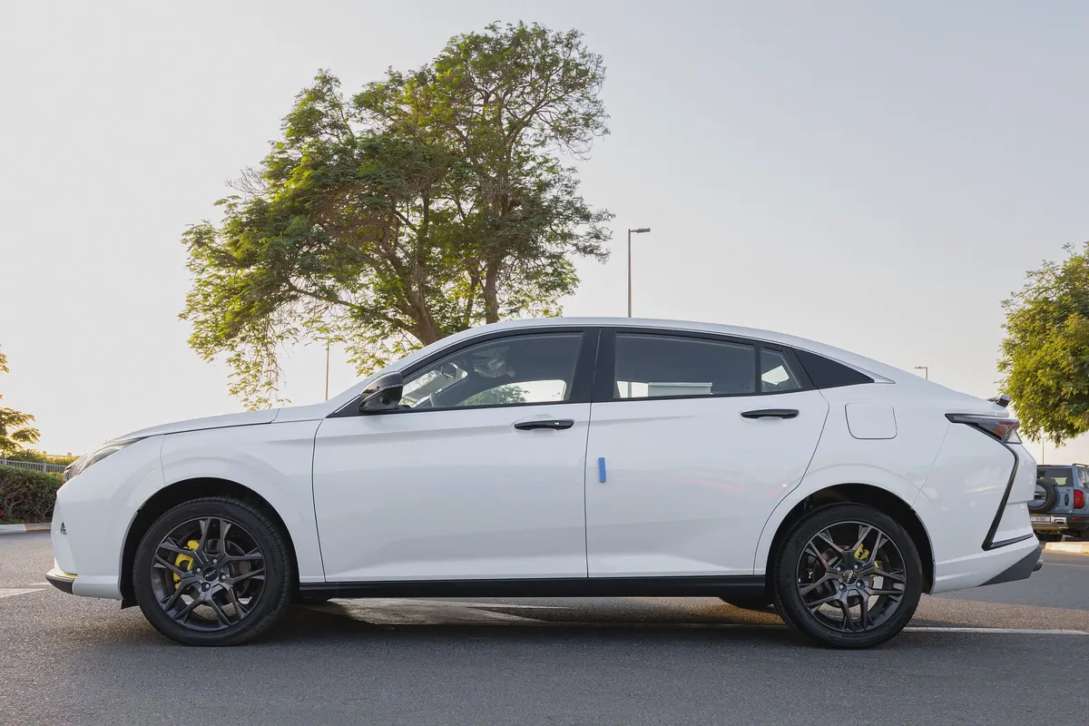DONGFENG | SHINE | E3 | 2025 (Export)-6-6