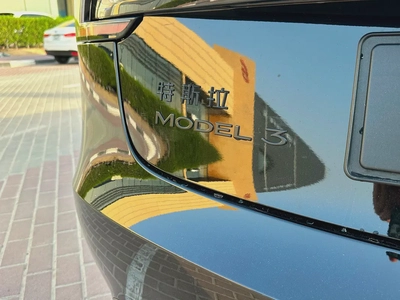 Tesla Model 3 2025 Chinese Specs-7