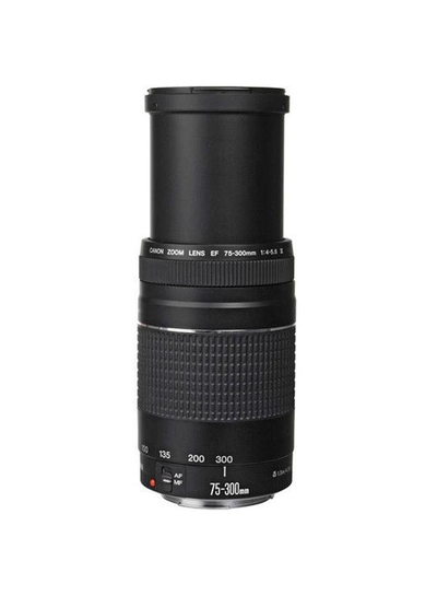 Canon EF 75-300mm f/4-5.6 III Telephoto Zoom Lens Black-1