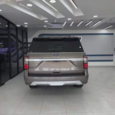 2019 Ford Expedition Platinum - GCC-4