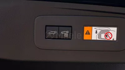 Toyota Prado  TOYOTA PRADO 250 | EXPORT ONLY-9