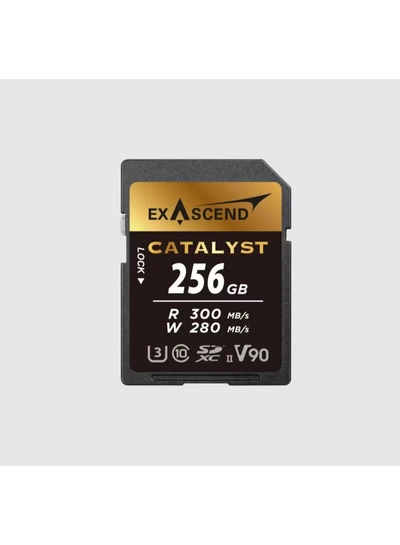 Exascend 256 GB SDXC SD Card, Class 10, UHS-II V90-0