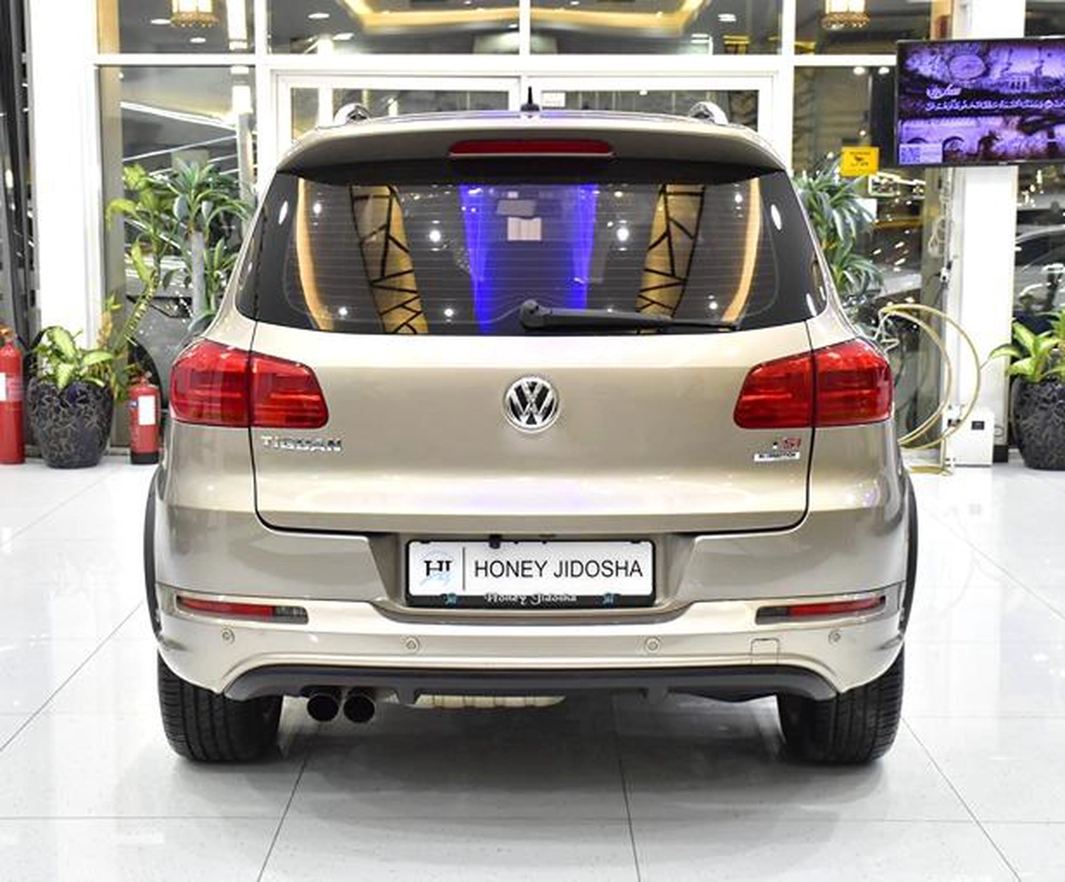 Volkswagen Tiguan R-Line ( 2016 Model ) in Beige Color GCC Specs-10-10