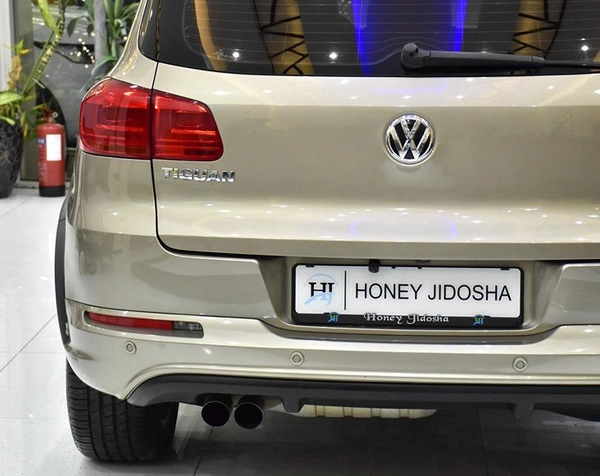 Volkswagen Tiguan R-Line ( 2016 Model ) in Beige Color GCC Specs