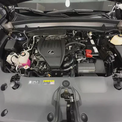 2024 Lexus TX 350 AWD-16