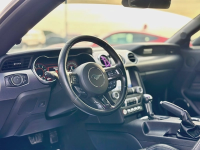 2019 Ford Mustang GT - # 96448-5