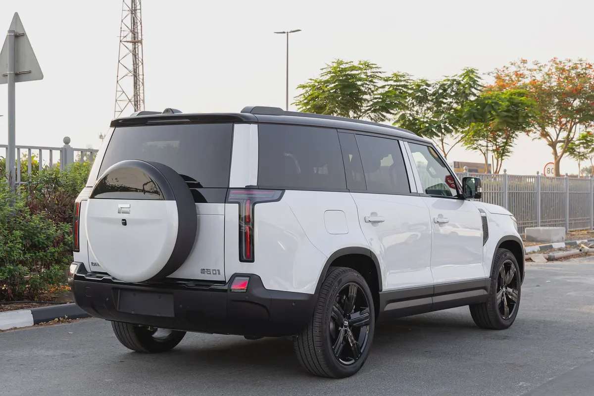 ROX 01 | 7 Seater | Hybrid SUV | Fully Loaded-3-3