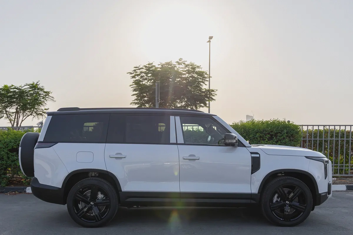 ROX 01 | 7 Seater | Hybrid SUV | Fully Loaded-6-6