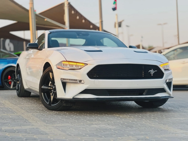 2023 Ford Mustang EcoBoost Fastback - # 12661