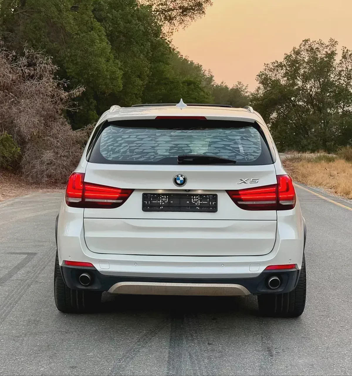 BMW X5 xDrive35i 2015 GCC Specs - Maintained Luxury-9-9