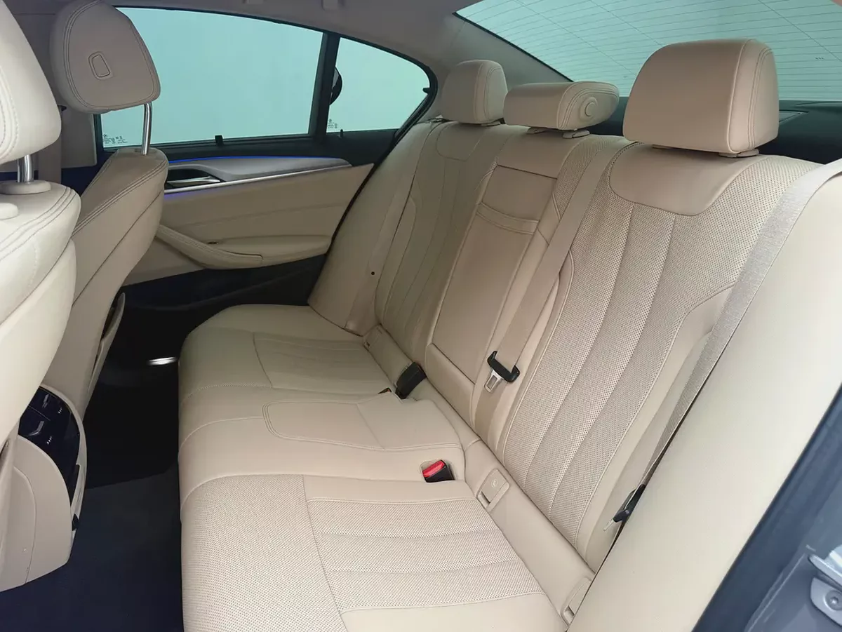 2021 BMW 520i | GCC Specs | Well Maintained | Premium Interior-10-10