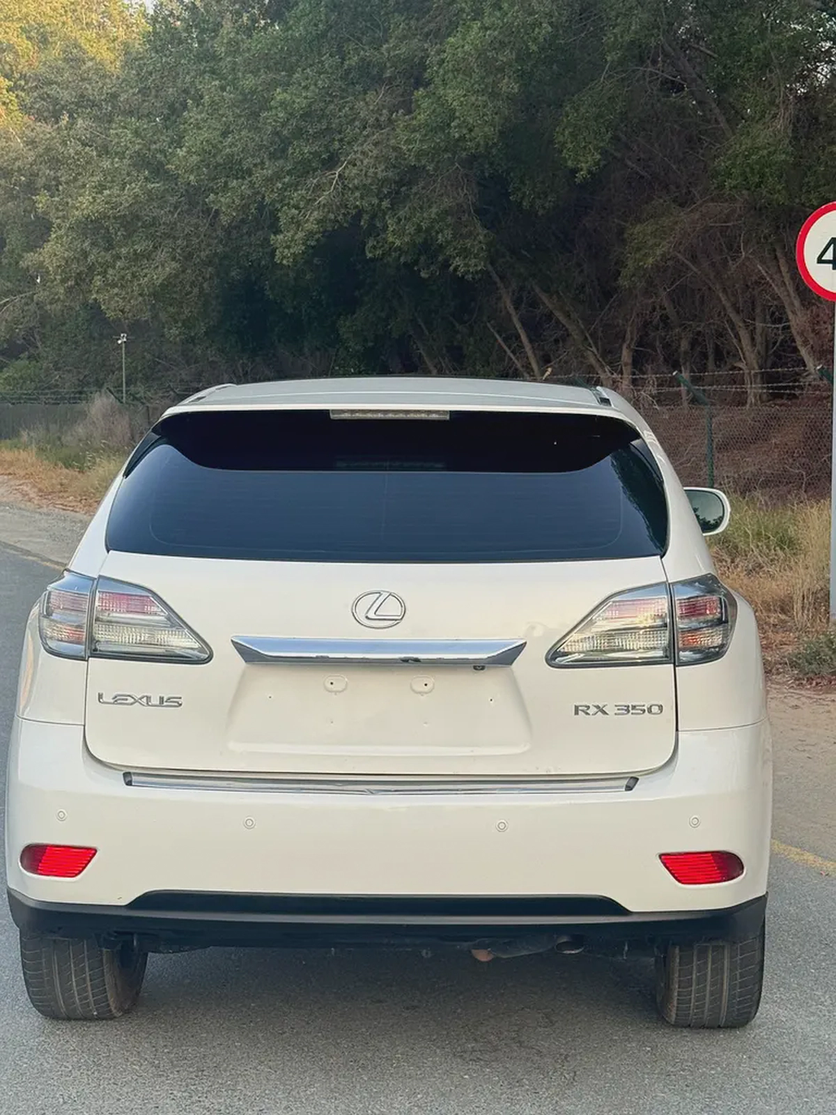 Lexus RX 350 Platinum 2011 | GCC Specs | Low Mileage | Pristine Condition-5-5