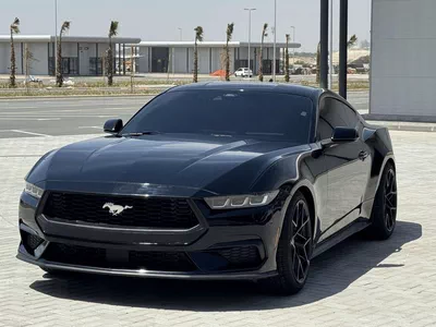 Ford Mustang STANDARD-1