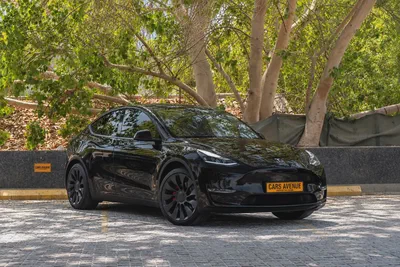 Tesla Model Y Performance 2023 GCC Specs-1