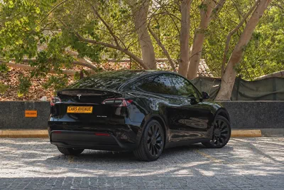 Tesla Model Y Performance 2023 GCC Specs-2