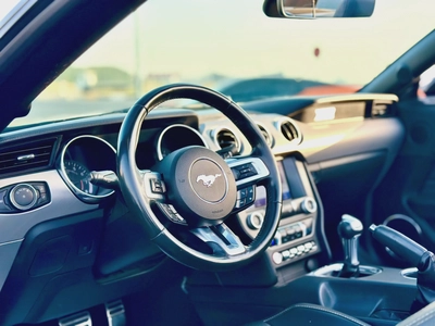 2021 Ford Mustang Ecoboost Convertible - # 31109-2