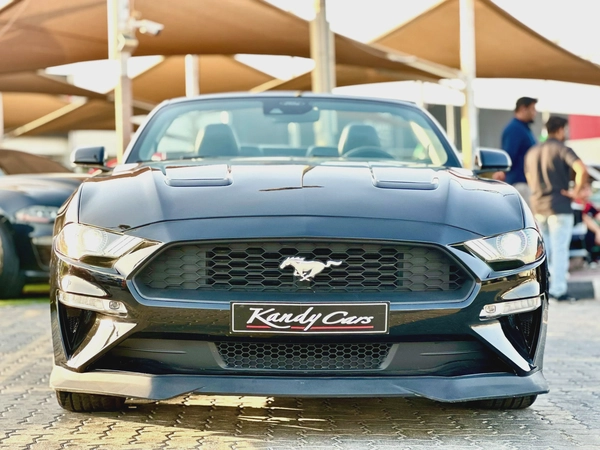 2021 Ford Mustang Ecoboost Convertible - # 31109