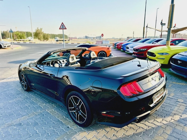 2021 Ford Mustang Ecoboost Convertible - # 31109