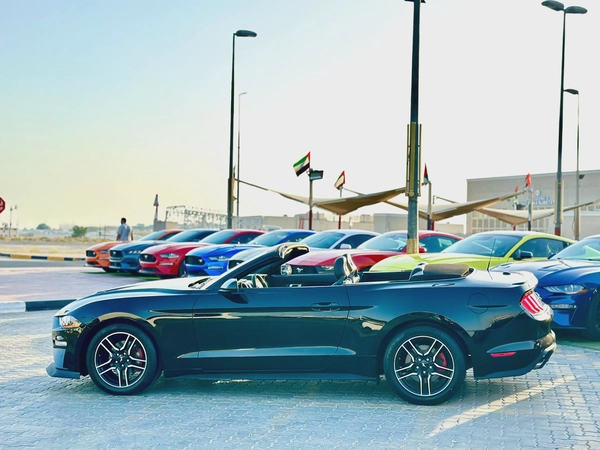 2021 Ford Mustang Ecoboost Convertible - # 31109