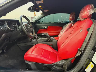 Ecoboost 2022 Mustang in a very good condition-6