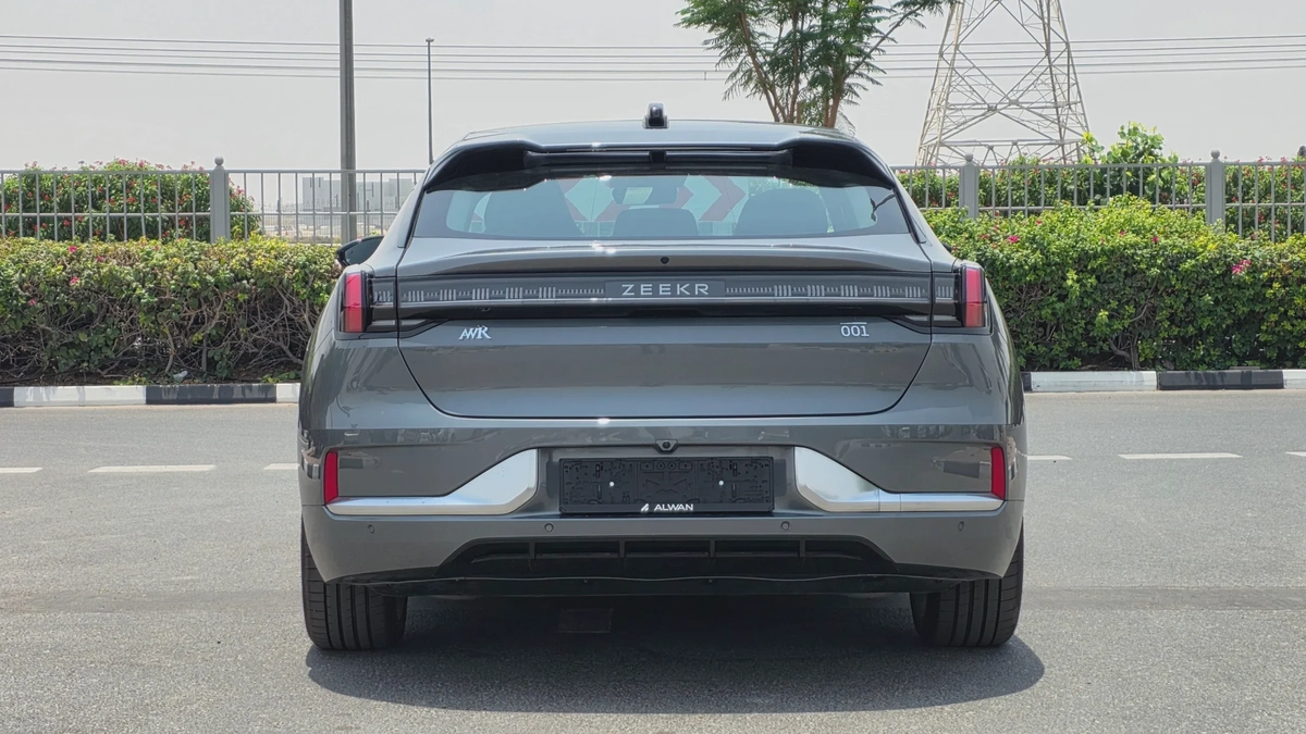 ZEEKR 001 RWD (Grey)-17-17