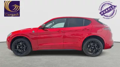 Alfa Romeo | Stelvio Quadrifoglio Super Sport (510 HP) | 2025 | Gargash Warranty and Service-2