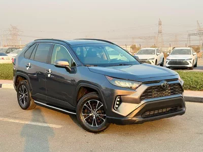 Toyota RAV4 LE 2019 RAV4-0