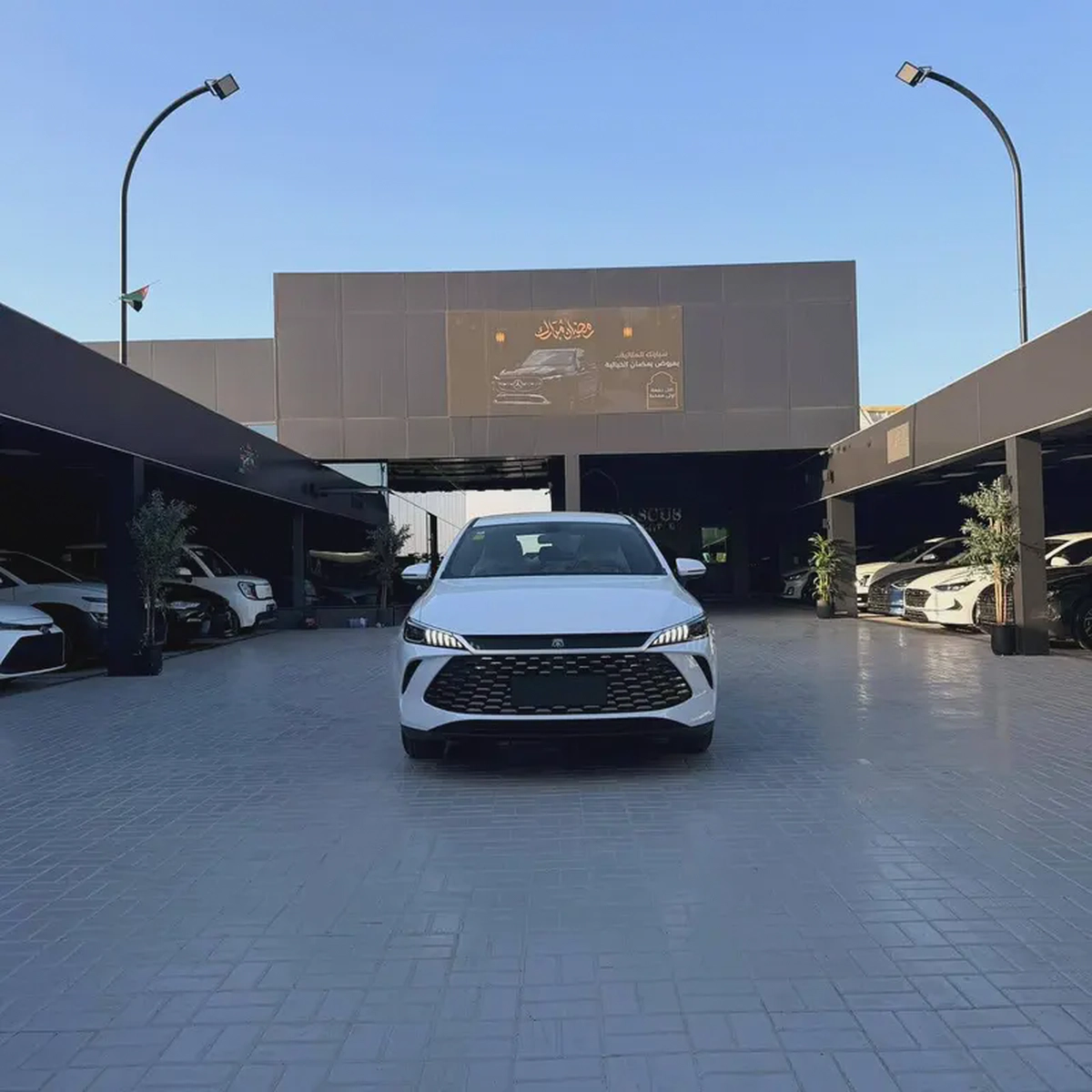 BYD Qin Plus DM-i Honor Edition 2025 - Chinese Specs - Brand New-1-1